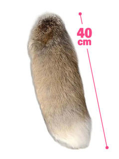 でかしっぽＫＨ　ロング　Ｄ