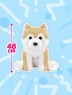 Relaxing Shiba Inu Beautiful Weather Ultra BIG B