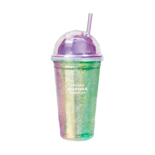 Frozen Aurora Tumbler　B