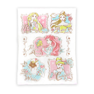 ディズニープリンセスタオルケットＢＩＧ　Ｂ