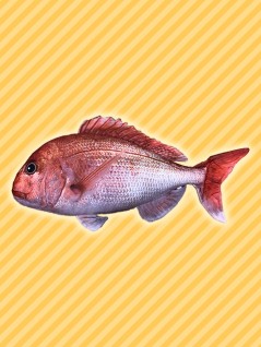 リアル魚ｂｉｇぬいぐるみ を投入いたしました 线上抓娃娃机 抓乐霸