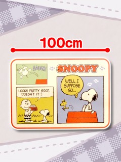 Snoopy - Meyers Throw C