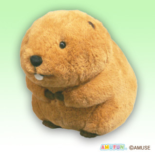 むっちりビーバーたっちＪＢ　Ａ