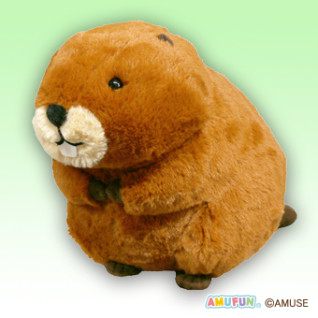 むっちりビーバーたっちＪＢ　Ｂ