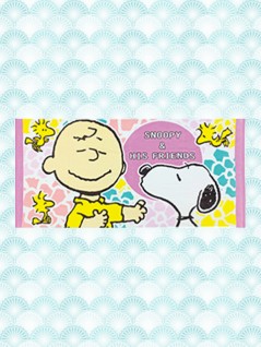 スヌーピーバスタオル を投入いたしました Claw Machine Game Toreba
