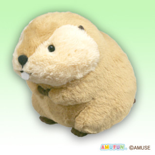 むっちりビーバーたっちＪＢ　Ｃ