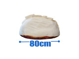 Gyoza BIG Cushion