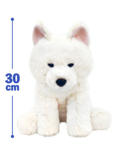 くったりあきたいぬＪＢ　Ａ