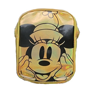 ディズニーフレンズオーロラＢＩＧポーチ　Ｂ