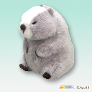 マーモットのもっとっとマモ座りＬＭＣ　Ｄ