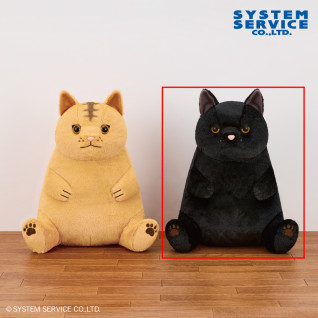 FANS 圆滚滚XL玩偶~猫咪~ B
