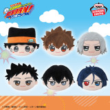 Reborn - Face Pouch Vol 1