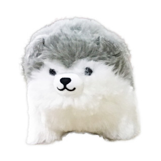 ころりんわんこのモフまるＳＴ　Ａ