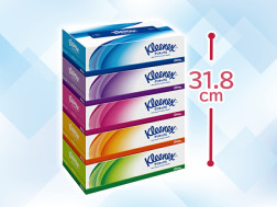 舒潔 衛生紙 5箱Pack