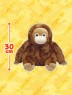 くったりオランウータンＪＢ　Ａ．ブラウン