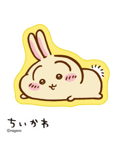 吉伊卡哇 地毯 趴姿 C