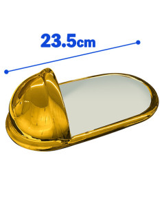 黄金に輝く！便器の形のカレー皿