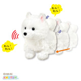 休閒薩摩耶犬 感應Gimmick