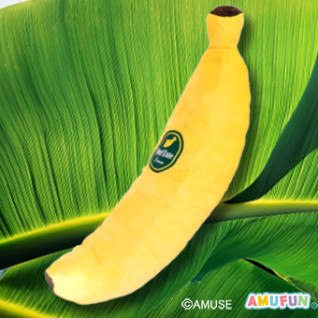 ☆もぎたて完熟バナナ５超ロングＢＩＧ　Ｂ