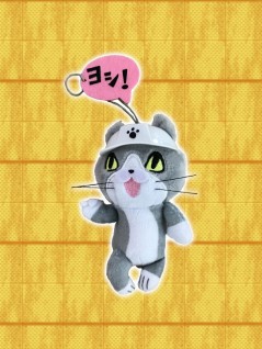 toreba cat