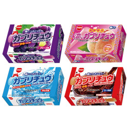 ガブリチュウよくばりＢＯＸ４種