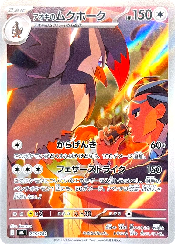 【C賞】アオキのムクホーク シングル
