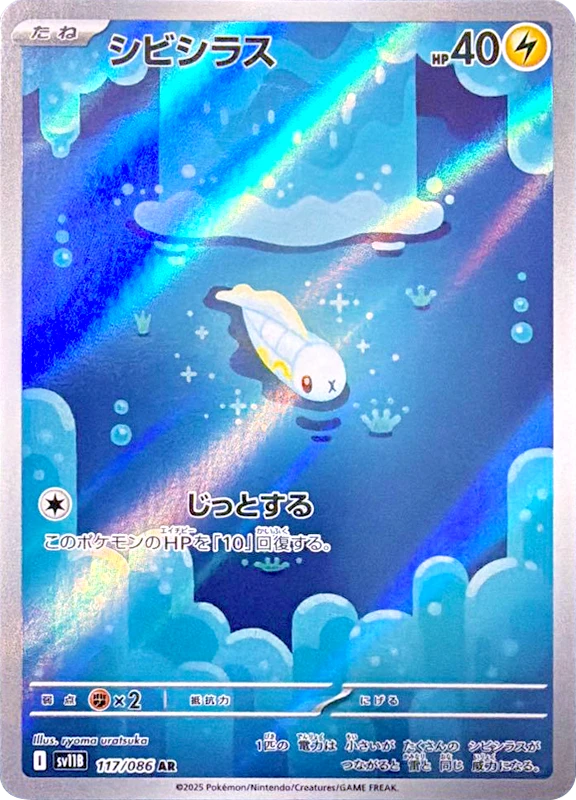 【C賞】シビシラス AR シングル