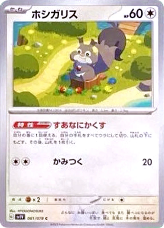 【D賞】ホシガリス C シングル