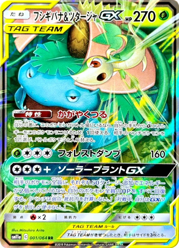 【C賞】フシギバナ＆ツタージャGX RR シングル